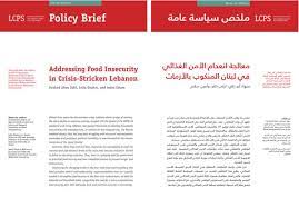 Addressing food insecurity in crisis-stricken Lebanon